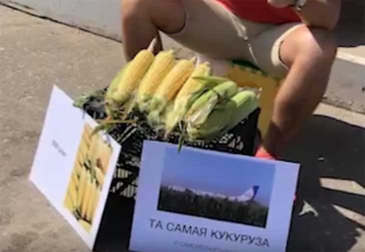 Саратовец продает «целебную кукурузу» с поля, на которое чудесным образом сел пассажирский самолет (видео)