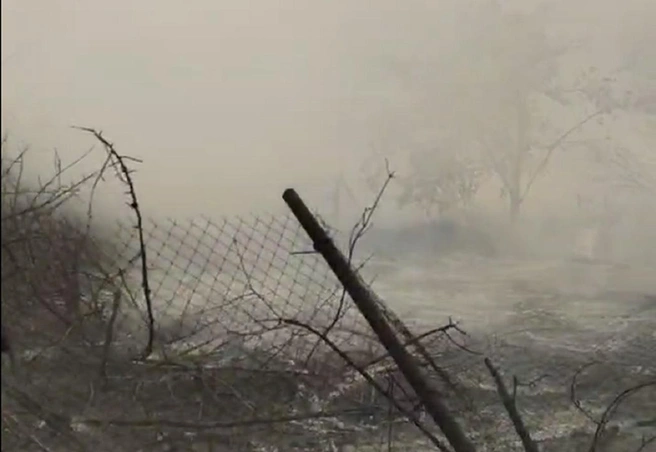 Сквозь дым можно рассмотреть полностью выгоревший дачный участок | Источник: читатели V1.RU