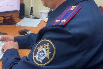 Приговор жительнице МО за мошенничество с выплатами