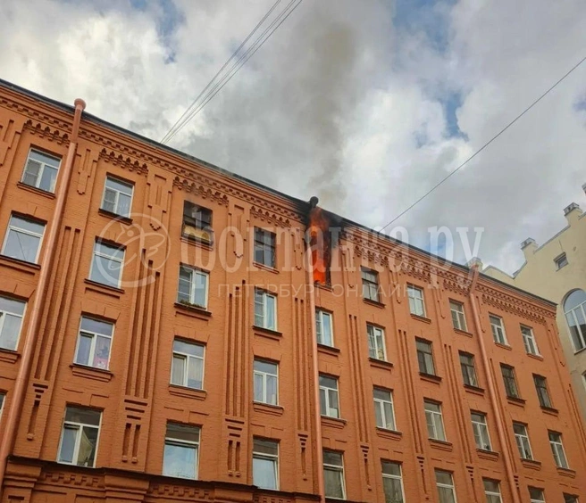 Квартиру на Большой Зелениной тушат по повышенному номеру сложности. В ванной нашли тело | Источник: «Фонтанка.ру»
