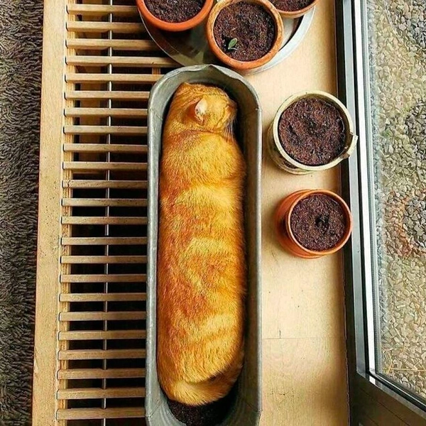 Источник: соцсети