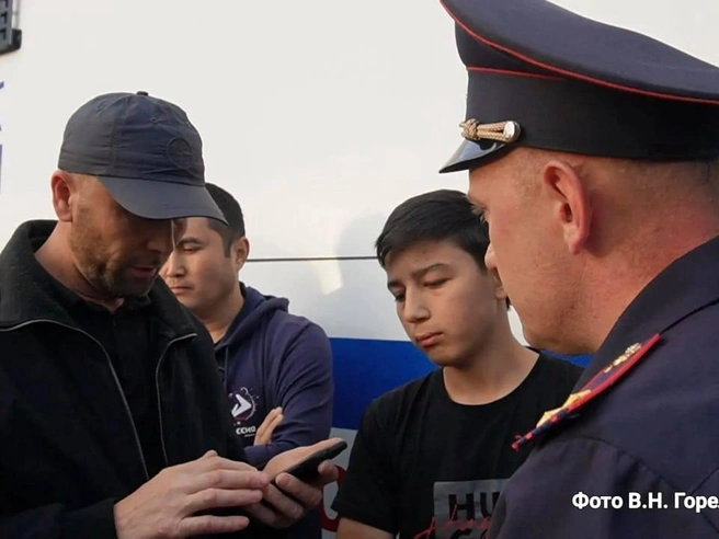 Источник: В. Н. Горелых