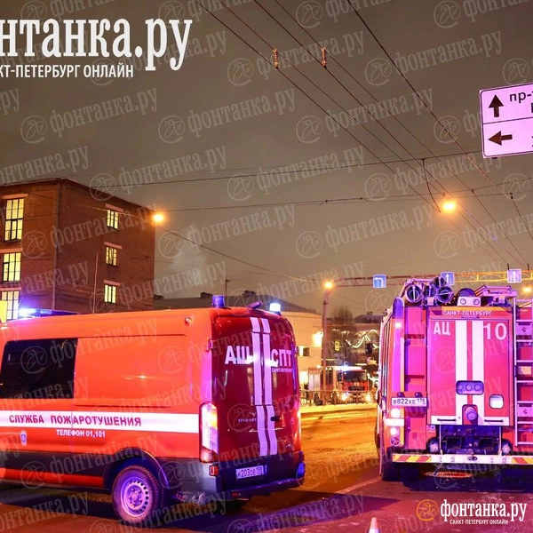 Источник: Дарья Драй / «Фонтанка.ру»