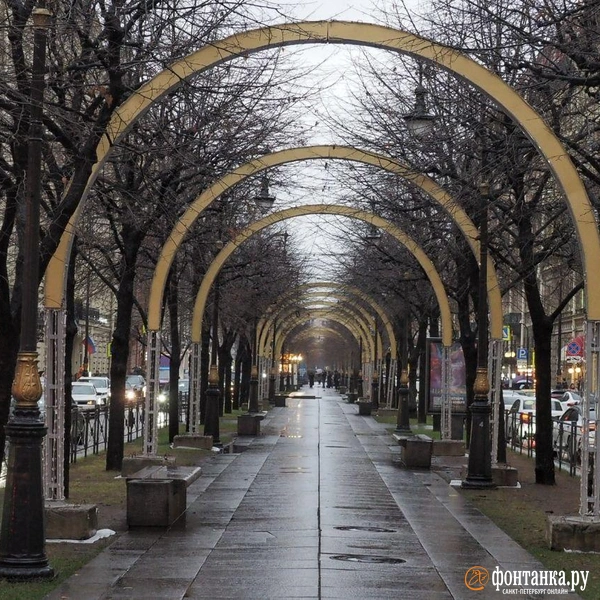 Источник: Михаил Огнев / «Фонтанка.ру»