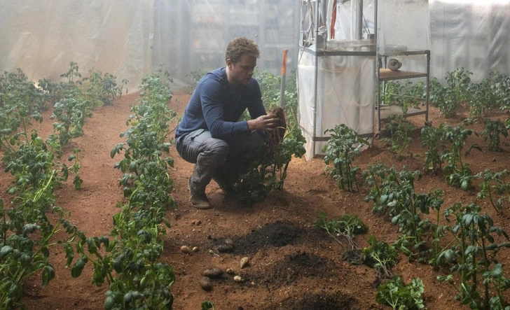 Источник: Кадр из фильма «Марсианин» (The Martian), 2015 г.