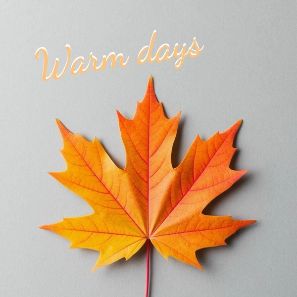 открытки с осенью, открытки с пожеланиями доброй осени, открытка с доброй осенью, открытки с осенью красивые, открытки с добрым утром осень, открытка с днем осени, открытка с добрым утром красивая осень, открытки с осенью с пожеланием | Источник: theDay/Шедеврум