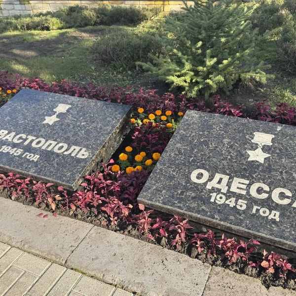 Источник: Дарья Гранкина / 26.RU 