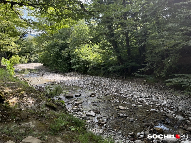 В реки Сочи часто сливают канализацию | Источник: Анна Грицевич / SOCHI1.RU