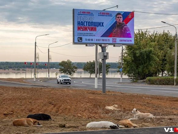 В зоне будущих платных парковок уложат газон, высадят сосны и можжевельник | Источник: Константин Завриков / V1.RU