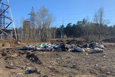 Суд обязал убрать свалку биологических отходов в Чите