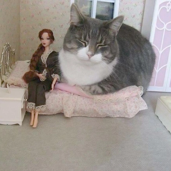 Источник: соцсети