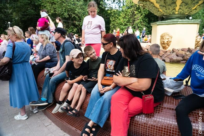 Источник: st.cherinfo.ru