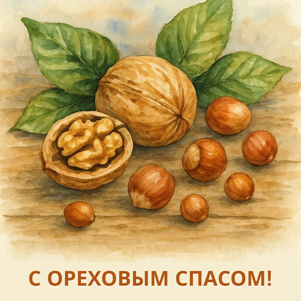 Источник: Городские медиа