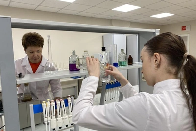 Оренбургские ученые разработали антиоксидантный фитосбор