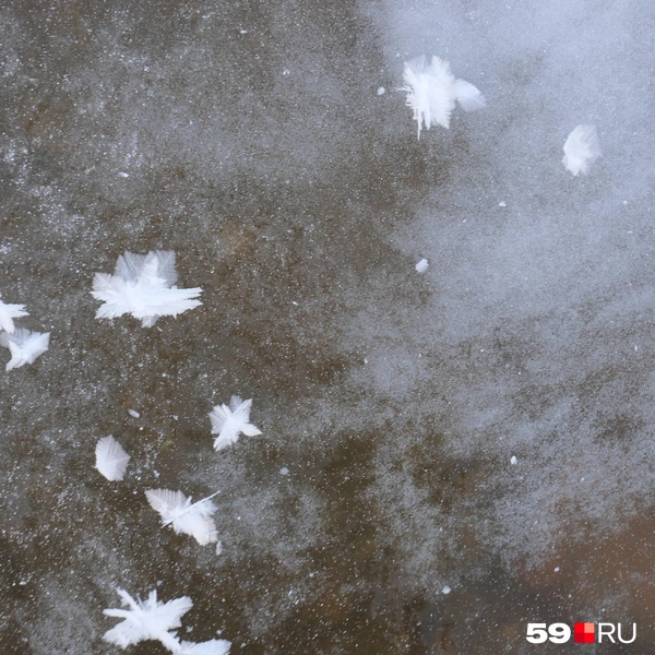 Источник: Тимофей Калмаков / 59.RU