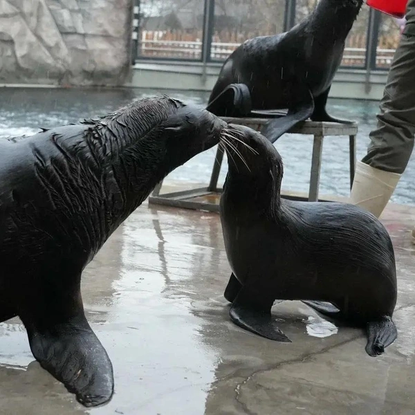 Источник: Пресс-служба Московского зоопарка