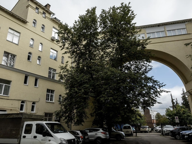 Двор почти полностью занят под парковку | Источник: Александр Куренной / 76.RU