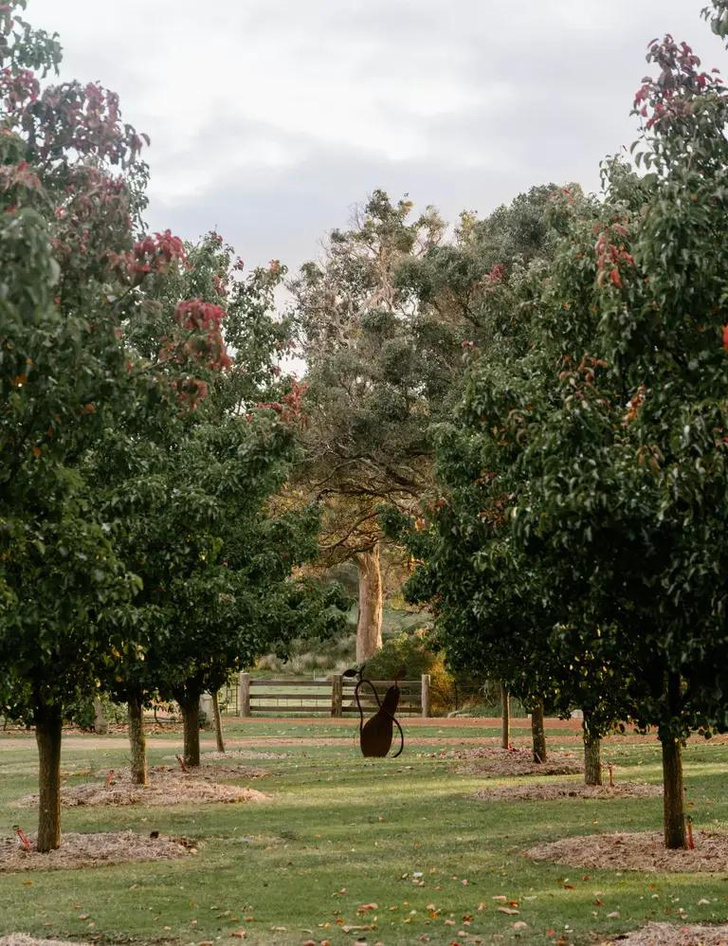 Сад в Австралии, который создавали 20 лет