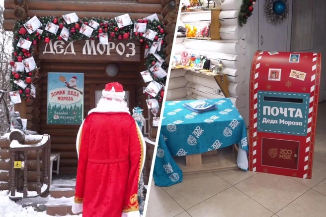 Резиденция находится напротив вольера северных оленей | Источник: Новосибирский зоопарк / Телеграм