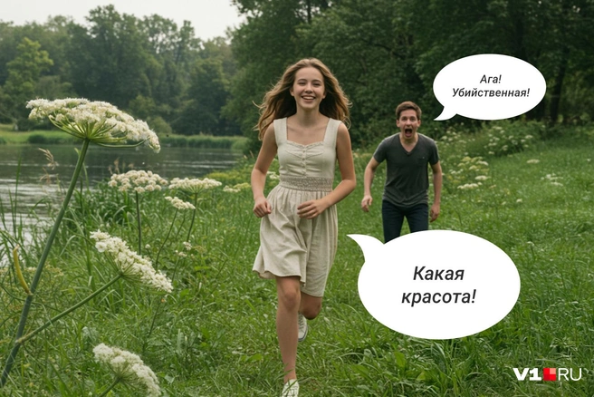 Любовь к цветам может быть убийственной | Источник: Евгения Бикунова