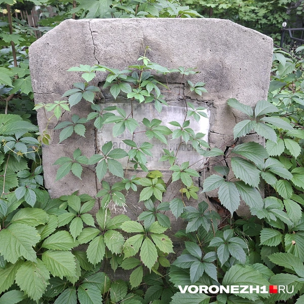 Источник: Алёна Воропаева / Voronezh1.ru