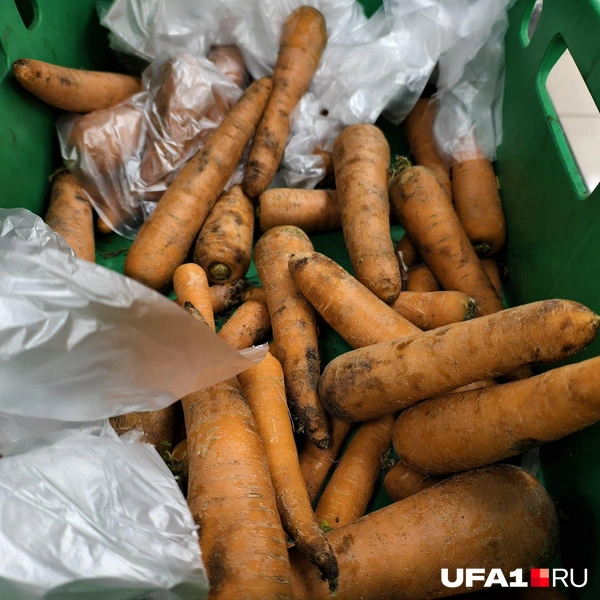 Источник: Булат Салихов / UFA1.RU