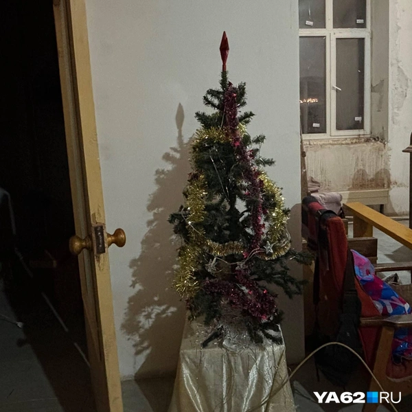 Кстати, католическое Рождество помогло поднять новогоднее настроение! | Источник: Виктория Улитова / YA62.RU
