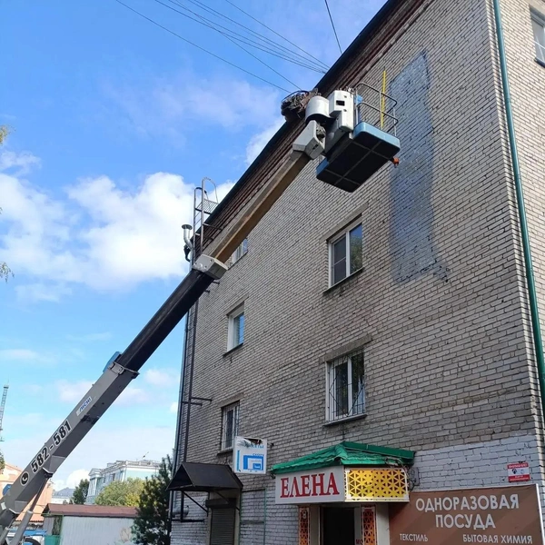 Источник: МЦУ города Барнаула