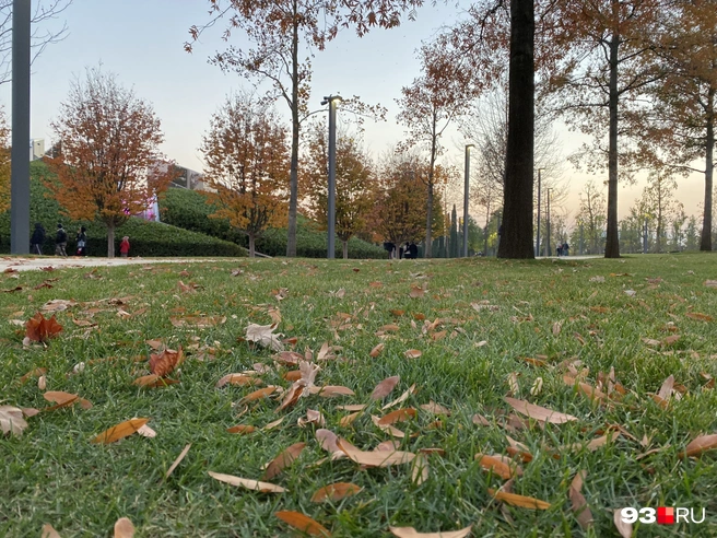 В город постепенно приходит осень | Источник: Валерия Дульская / 93.RU