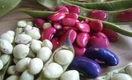 Диетолог Гермюш назвала 7 продуктов для снижения уровня сахара в крови