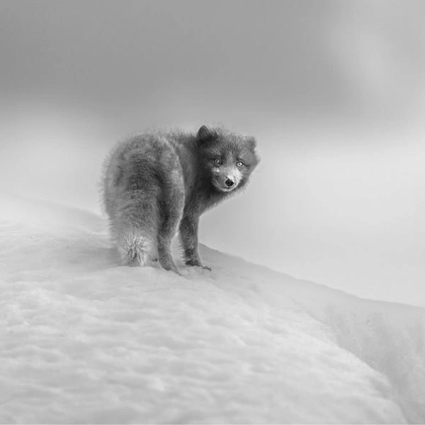 Источник: Miles Hewitt-Boorman / Exposure One Awards 2025