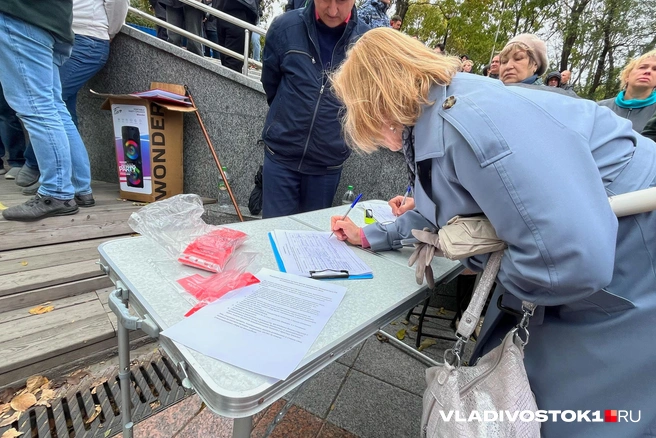 Требования участников митинга — в итоговой резолюции | Источник: Елена Буйвол / VLADIVOSTOK1.RU