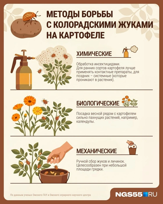 Источник: Серафима Пантыкина / Городские медиа 