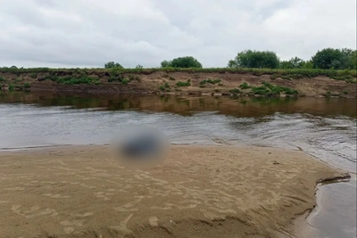 СК проверяет гибель ребенка и дедушки в Клязьме