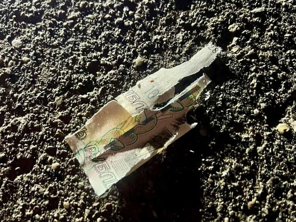 Источник: СК Подмосковья / T.me