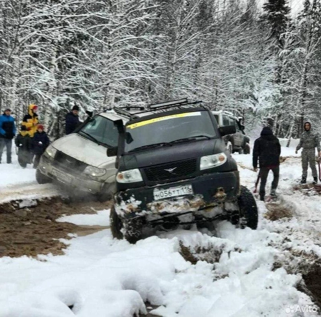 Одно из фото из объявлений | Источник: Avito.ru