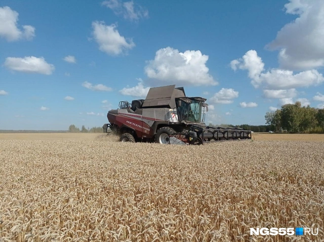 Ситуация идет к тому, что работать на современной технике будет некому  | Источник: Сергей Энквист / NGS55.RU 