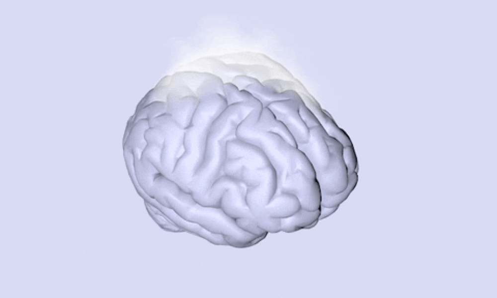 Brain 226. Мозг анимация. Мозг gif. Мозг вскипел. Мозг Анимашка.