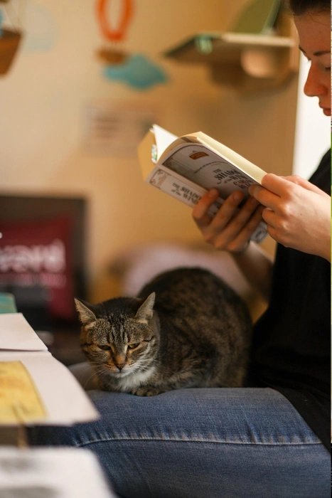 Не хватает только камина =)  | Источник: Котейня «ЧуКОТка» | котокафе Самара 