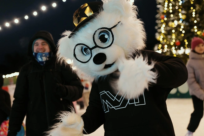 Источник: Мидгард