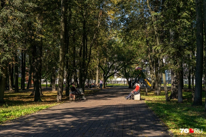 Здесь можно отдохнуть от городской суеты | Источник: Кирилл Поверинов / 76.RU