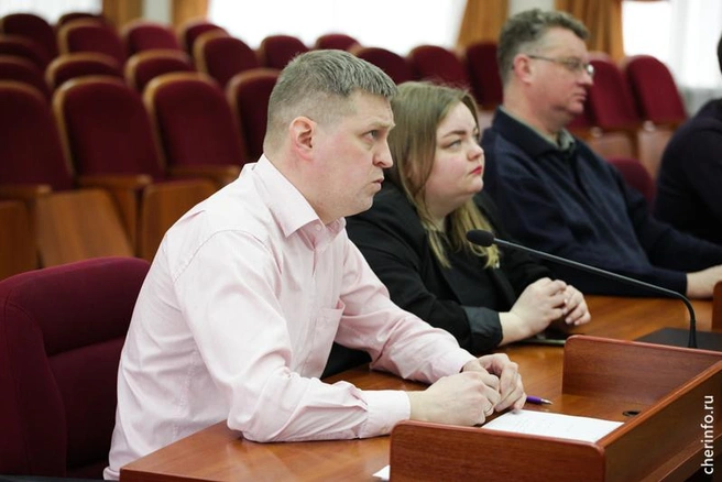 Источник: st.cherinfo.ru