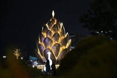 Гигантская шишка на набережной Ростова: кто установил