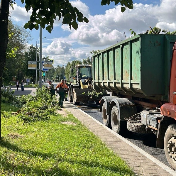 Источник: комитет по благоустройству Петербурга
