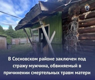 Источник: chel.sledcom.ru
