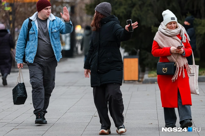 К холодам — это вон туда | Источник: Мария Ленц / NGS24.NRU