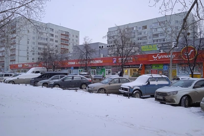 Погода в Ульяновске 29 декабря: туман и снег