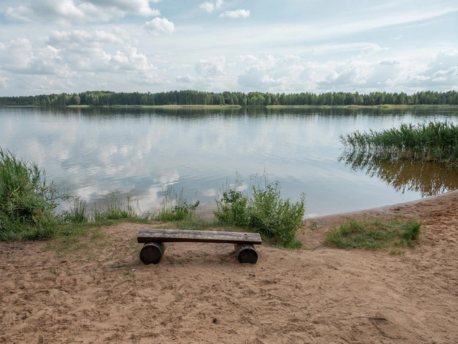 Скамейка — бесплатный вариант отдыха у воды | Источник: Александр Куренной / 76.RU
