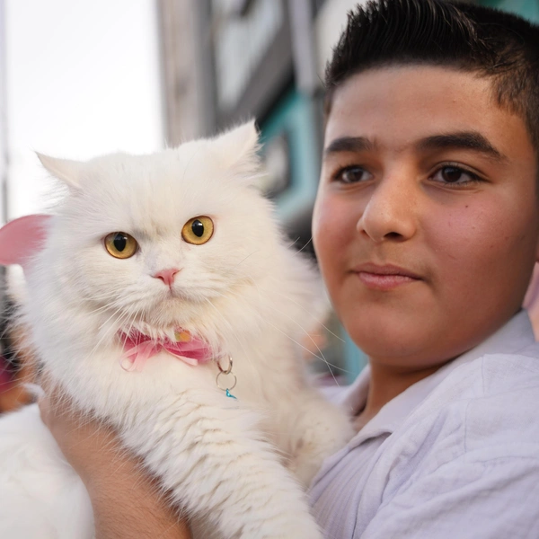 Источник: Fariq Faraj Mahmood/Anadolu via Getty Images