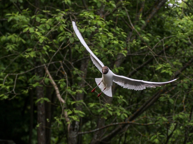 Источник: Наталья Бурухина / NN.RU